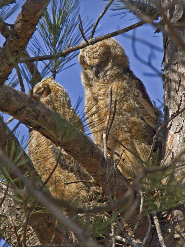 20130303_6929.jpg