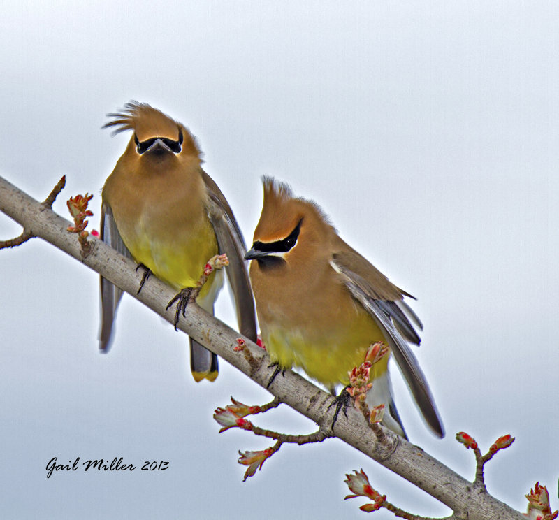 20130324_7561.jpg
