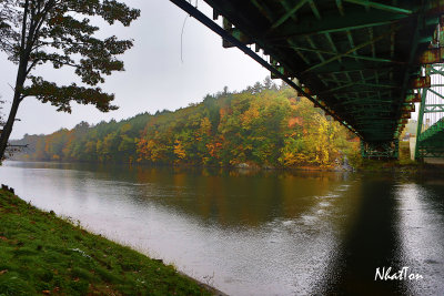 Fall Foliage 11