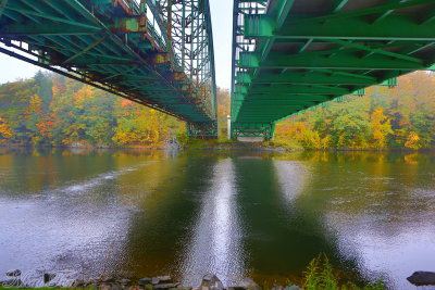 Fall Foliage 17