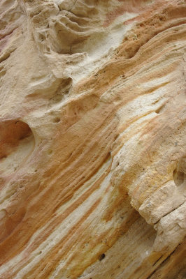 Sandstone, quarry trail, DNM, UT