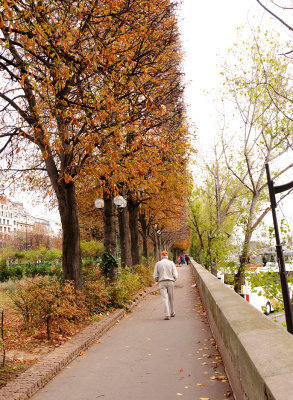 Autumn Leaves on Trees along Seine River