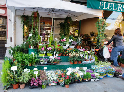 Dijon: Flower Market