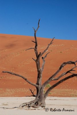 namibia 2008 maggio_giugno 0036.jpg