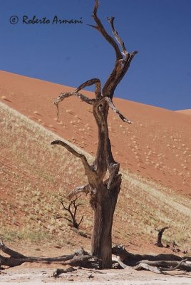namibia 2008 maggio_giugno 0045.jpg