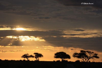 canon namibia 2012 gennaio0075.jpg