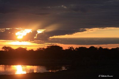 canon namibia 2012 gennaio0728.jpg
