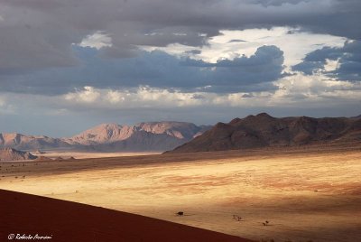 DSC_0110.jpg
