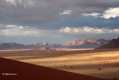 DSC_0111.jpg