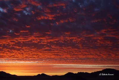 namibia 2009 dicembre0710.jpg