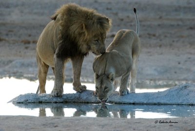 namibia 2009 dicembre0077b.jpg