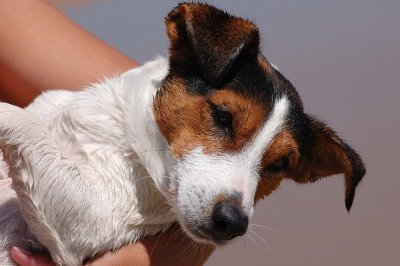 DSC_0105.JPG