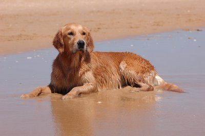 DSC_0123.JPG