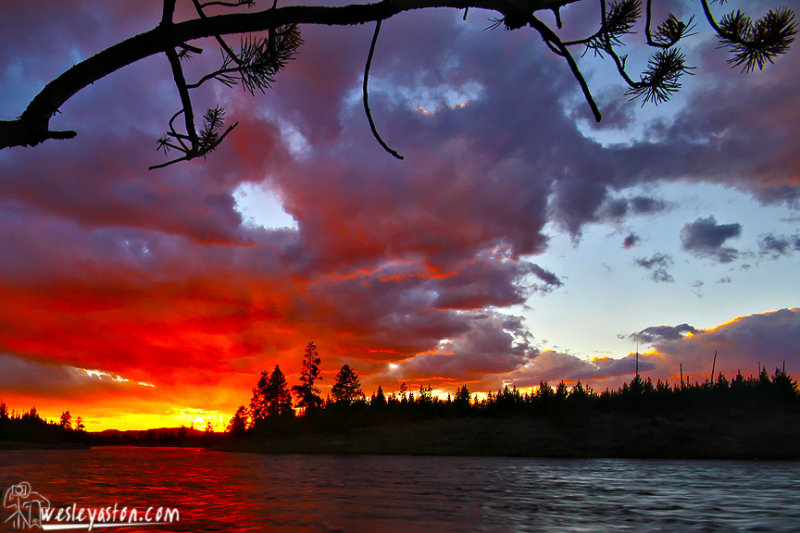 Madison River