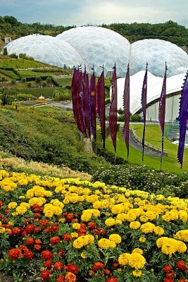 Flowers, flags and biomes, Eden Project, Cornwall