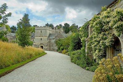 Driveway, Cotehele, Cornwall