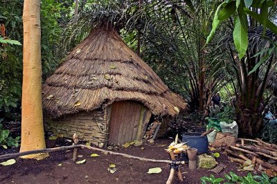 Jungle hut, Eden Project (2562)