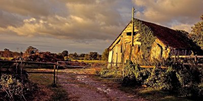 Old barn, Muchelney