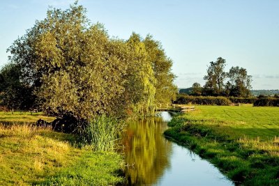 Stream and bridge at Muchelney, Somerset