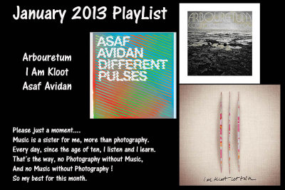2013  January PlayList