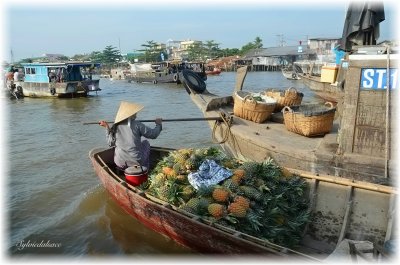 Can Tho, delta du Mekong - marché flottant de Cai Rang