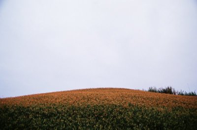 52710025.jpg