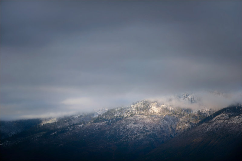 Morning Light