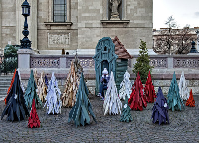Different kind of Christmas trees
