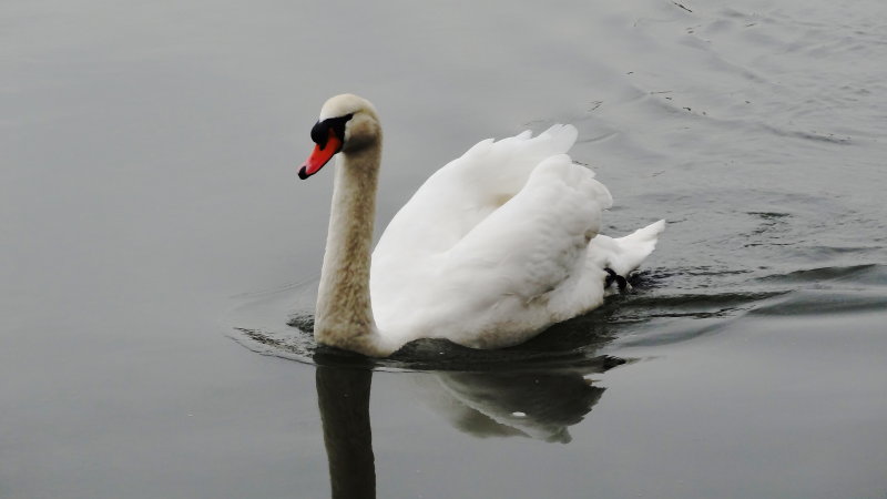 DSC00903.JPG