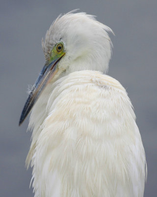 +IMG_78535.JPG