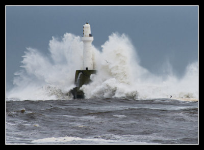 Aberdeen Wave