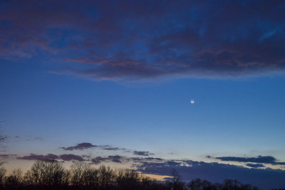 DSC02655.jpg