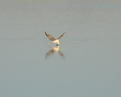 IMG_6652.JPG