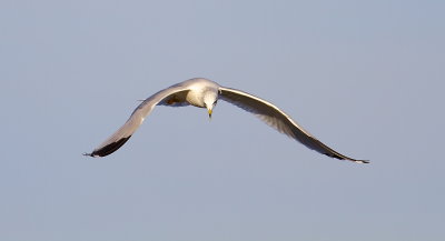 IMG_7209.JPG