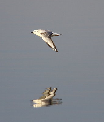 IMG_7360.JPG