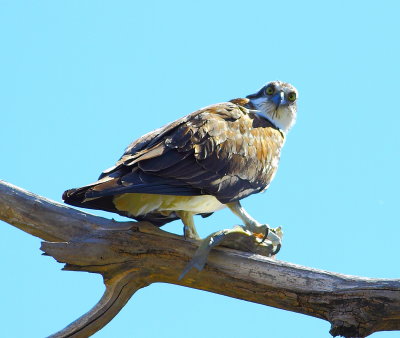 IMG_9103.JPG
