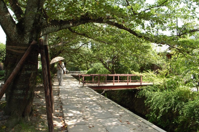 Kyoto Le Chemin de la Philosophie.