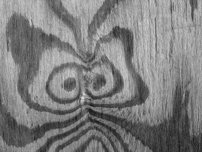 1owl.jpg