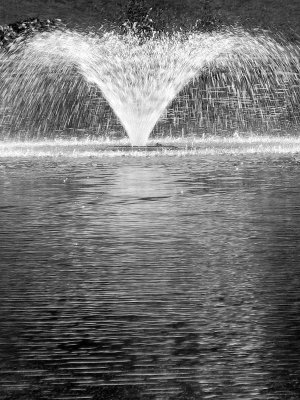 1splash.jpg