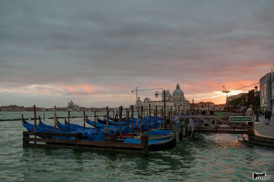 Venezia