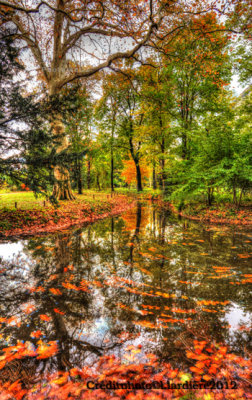 couleur-d'automne-2web.jpg