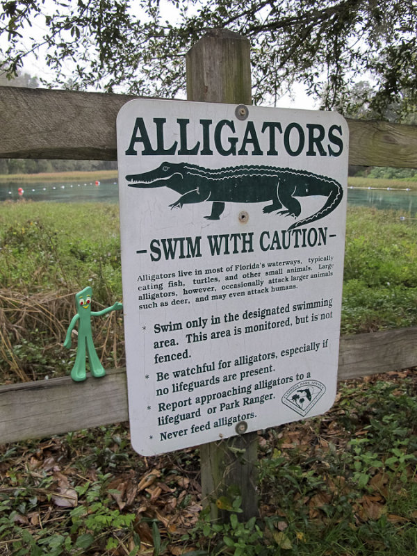 Gumby is leery of the alligators