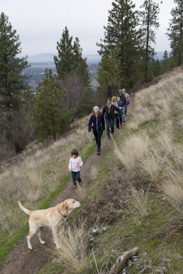 On the bluff