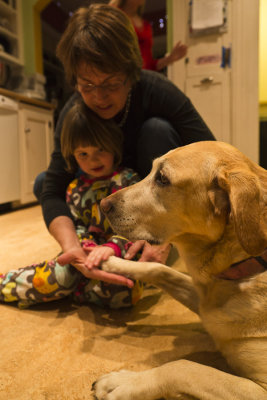 Emma gets petted