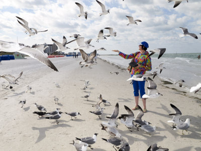 seagull feeder