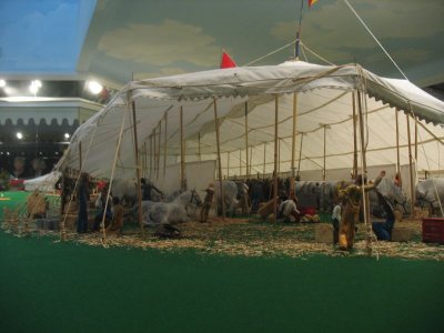 the horse tents