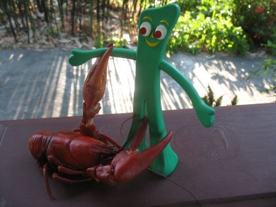 Gumby gets attacked by a crayfish