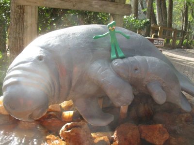 Gumby makes friends with the manatees