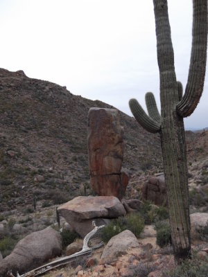 2013 01 24_hike_0003.JPG