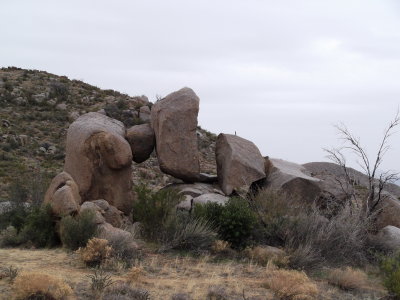 2013 01 24_hike_0006.JPG